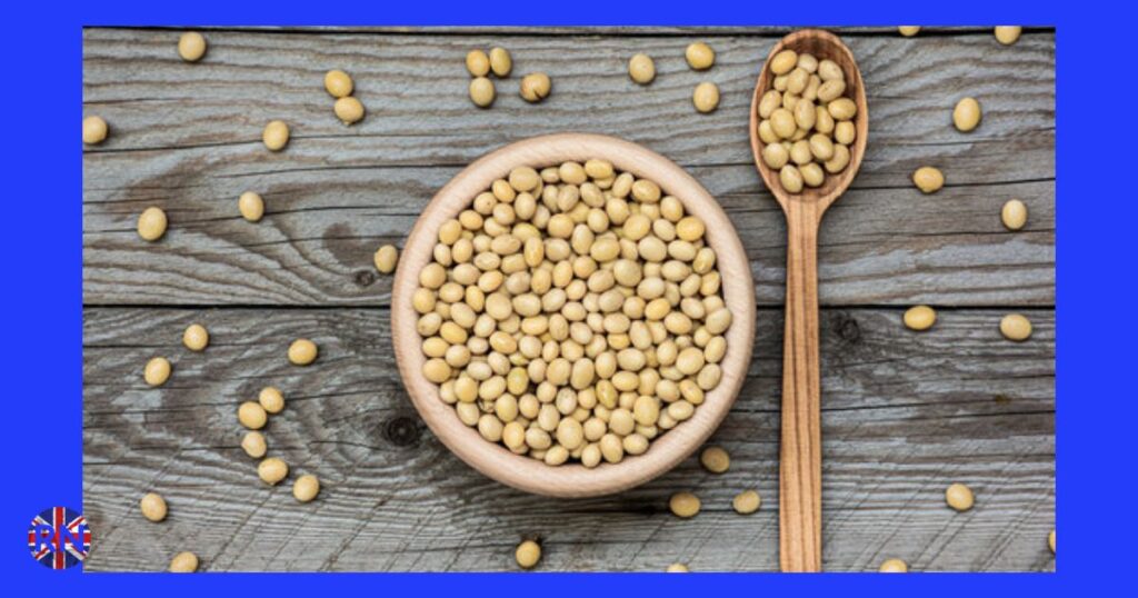 Insoya: The Future of Plant-Based Nutrition or Just Another Wellness Buzzword? Insoya