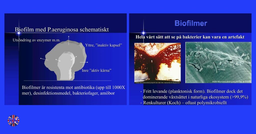 Biofilms: Hidden Microbial Communities Shaping Health, Industry, and the Environment biofilmer