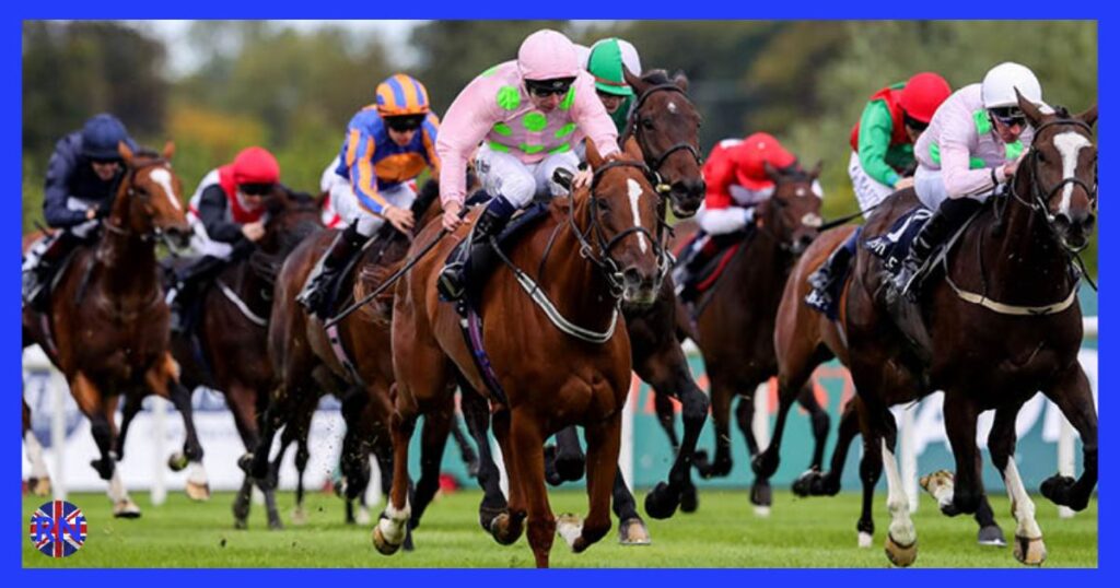 GYTO Horse Racing Tips: Inside GetYourTipsOut’s Strategy, Success, and Value for Punters horse racing tips --gyto
